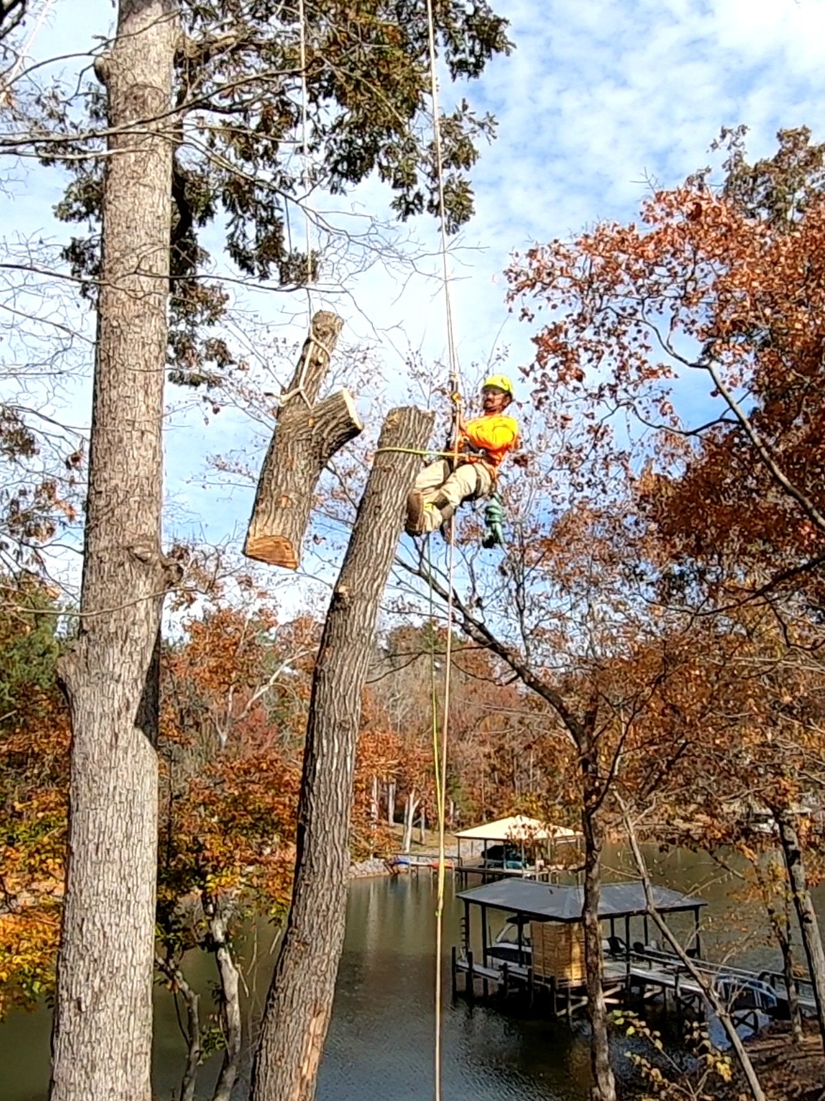 Backyard cleared and cleaned up after a professional tree removal near a lakefront property.
